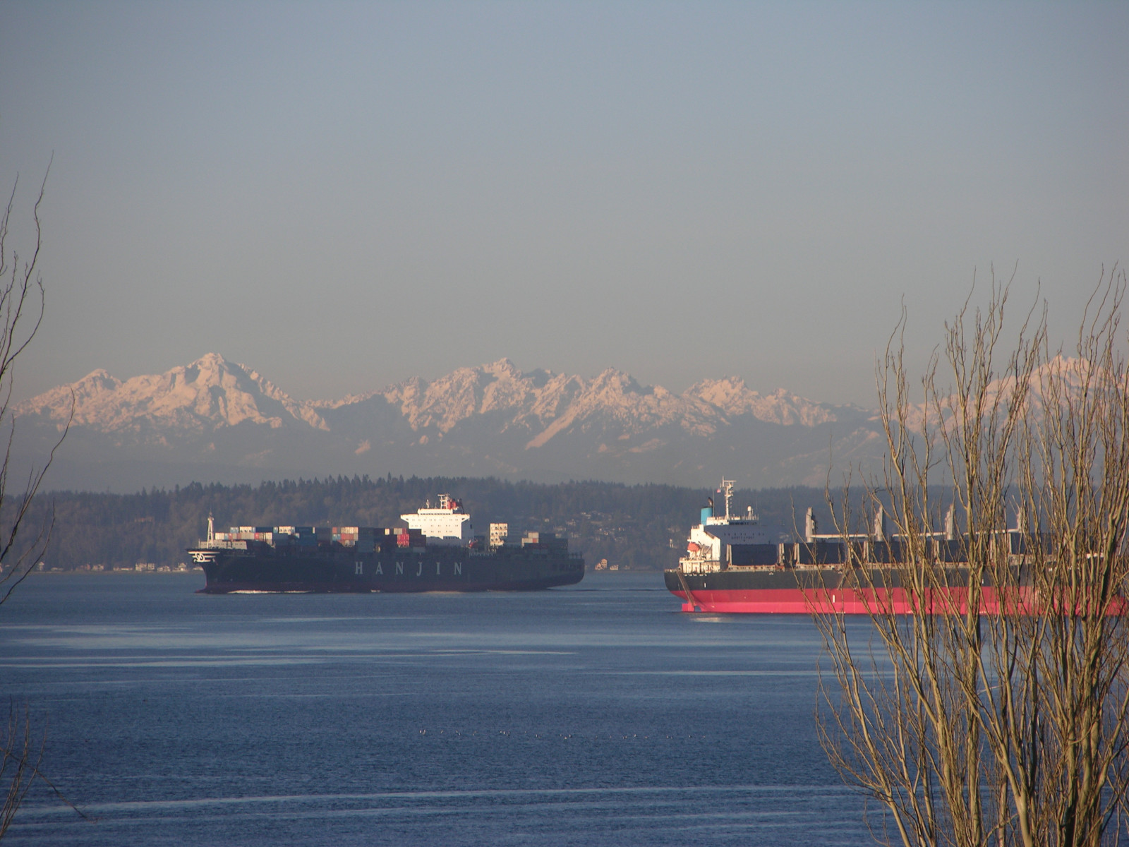 Bulk carrier